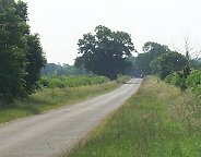 Road1.jpg (7385 bytes)